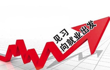 就业见习.jpg